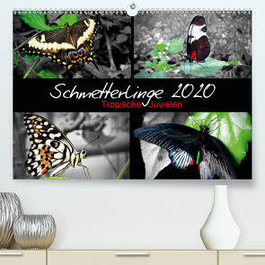 Schmetterlinge 2020 – Tropische Juwelen (Premium, hochwertiger DIN A2 Wandkalender 2020, Kunstdruck in Hochglanz) von Hamburg, Mirko Weigt,  ©