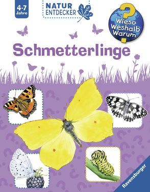 Schmetterlinge von Lenz,  Angelika, von Hacht,  Esther