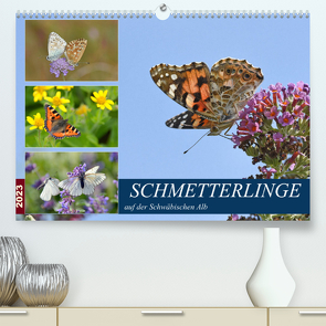 Schmetterlinge auf der Schwäbischen Alb (Premium, hochwertiger DIN A2 Wandkalender 2023, Kunstdruck in Hochglanz) von GUGIGEI