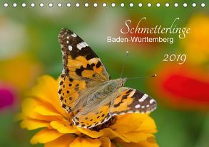 Schmetterlinge Baden-Württemberg (Tischkalender 2019 DIN A5 quer) von Schlauch,  Annette