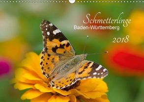 Schmetterlinge Baden-Württemberg (Wandkalender 2018 DIN A3 quer) von Schlauch,  Annette