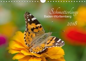 Schmetterlinge Baden-Württemberg (Wandkalender 2018 DIN A4 quer) von Schlauch,  Annette