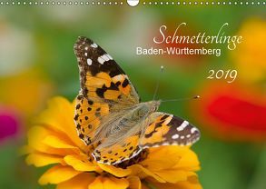 Schmetterlinge Baden-Württemberg (Wandkalender 2019 DIN A3 quer) von Schlauch,  Annette