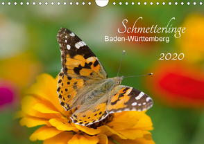 Schmetterlinge Baden-Württemberg (Wandkalender 2020 DIN A4 quer) von Schlauch,  Annette