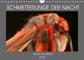 SCHMETTERLINGE DER NACHT (Wandkalender 2022 DIN A4 quer) von Schellhorn,  Steffen