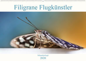 Schmetterlinge – Filigrane Flugkünstler (Wandkalender 2020 DIN A2 quer) von Mohrmann,  Dennis