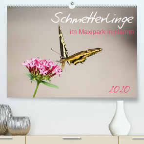 Schmetterlinge im Maxipark in Hamm (Premium, hochwertiger DIN A2 Wandkalender 2020, Kunstdruck in Hochglanz) von Gimpel,  Frauke