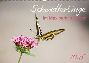 Schmetterlinge im Maxipark in Hamm (Wandkalender 2018 DIN A2 quer) von Gimpel,  Frauke