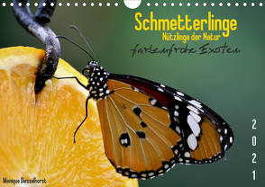 Schmetterlinge Nützlinge der Natur farbenfrohe Exoten (Wandkalender 2021 DIN A4 quer) von Diesselhorst,  Monique