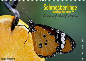 Schmetterlinge Nützlinge der Natur farbenfrohe Exoten (Wandkalender 2022 DIN A2 quer) von Diesselhorst,  Monique