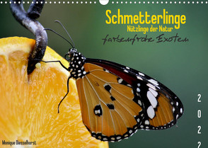 Schmetterlinge Nützlinge der Natur farbenfrohe Exoten (Wandkalender 2022 DIN A3 quer) von Diesselhorst,  Monique