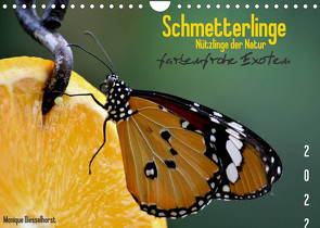 Schmetterlinge Nützlinge der Natur farbenfrohe Exoten (Wandkalender 2022 DIN A4 quer) von Diesselhorst,  Monique