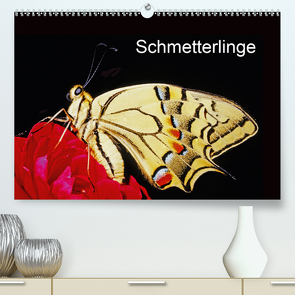 Schmetterlinge (Premium, hochwertiger DIN A2 Wandkalender 2021, Kunstdruck in Hochglanz) von / Bachmeier / Huwiler / Krause / Kreuter / Schreiter / Steinkamp,  McPHOTO