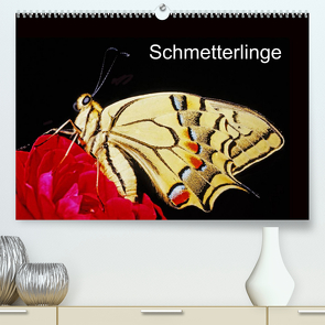 Schmetterlinge (Premium, hochwertiger DIN A2 Wandkalender 2022, Kunstdruck in Hochglanz) von / Bachmeier / Huwiler / Krause / Kreuter / Schreiter / Steinkamp,  McPHOTO