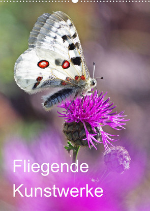 Schmetterlinge, schöne Flieger der Natur (Wandkalender 2022 DIN A2 hoch) von Blum,  Jürgen