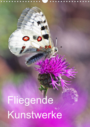 Schmetterlinge, schöne Flieger der Natur (Wandkalender 2022 DIN A3 hoch) von Blum,  Jürgen