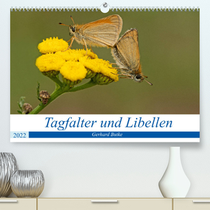 Schmetterlinge und Libellen (Premium, hochwertiger DIN A2 Wandkalender 2022, Kunstdruck in Hochglanz) von Butke,  Gerhard