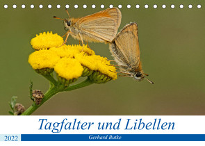 Schmetterlinge und Libellen (Tischkalender 2022 DIN A5 quer) von Butke,  Gerhard