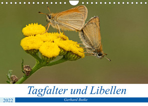 Schmetterlinge und Libellen (Wandkalender 2022 DIN A4 quer) von Butke,  Gerhard