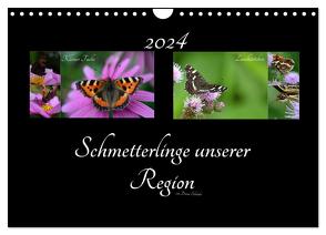 Schmetterlinge unserer Region (Wandkalender 2024 DIN A4 quer), CALVENDO Monatskalender von Schröder,  Diana