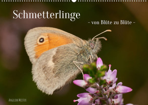 Schmetterlinge – von Blüte zu Blüte – (Wandkalender 2023 DIN A2 quer) von Meister,  Angelika