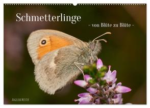 Schmetterlinge – von Blüte zu Blüte – (Wandkalender 2024 DIN A2 quer), CALVENDO Monatskalender von Meister,  Angelika