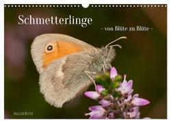 Schmetterlinge – von Blüte zu Blüte – (Wandkalender 2024 DIN A3 quer), CALVENDO Monatskalender von Meister,  Angelika