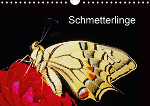 Schmetterlinge (Wandkalender 2021 DIN A4 quer) von / Bachmeier / Huwiler / Krause / Kreuter / Schreiter / Steinkamp,  McPHOTO