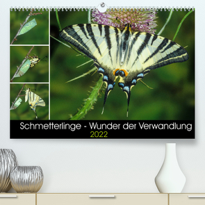 Schmetterlinge – Wunder der Verwandlung (Premium, hochwertiger DIN A2 Wandkalender 2022, Kunstdruck in Hochglanz) von Eisenreich,  Wilhelm