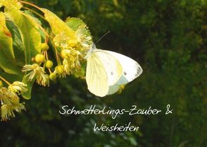 Schmetterlings-Zauber & Weisheiten (Posterbuch DIN A3 quer) von Stremme,  Renate