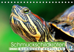 Schmuckschildkröten: Schmucke Reptilien (Tischkalender 2022 DIN A5 quer) von CALVENDO