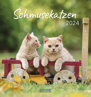 Schmusekatzen 2024 von Korsch Verlag