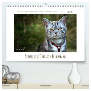 Schmusige Britisch Kurzhaar (hochwertiger Premium Wandkalender 2024 DIN A2 quer), Kunstdruck in Hochglanz von Wrede,  Martina