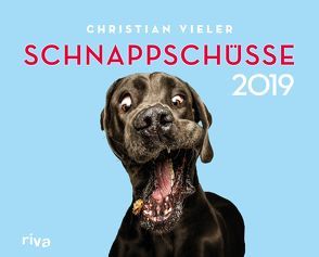 Schnappschüsse 2019 von Vieler,  Christian