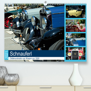 Schnauferl – Oldtimerdetails von Wagen vor 1930 (Premium, hochwertiger DIN A2 Wandkalender 2021, Kunstdruck in Hochglanz) von Marten,  Martina