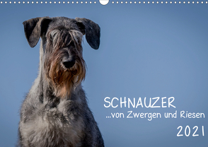 Schnauzer… von Zwergen und Riesen 2021 (Wandkalender 2021 DIN A3 quer) von Janz,  Michael