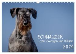 Schnauzer… von Zwergen und Riesen 2024 (Wandkalender 2024 DIN A3 quer), CALVENDO Monatskalender von Janz,  Michael