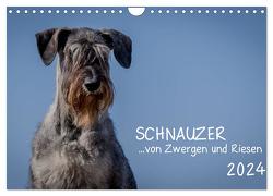 Schnauzer… von Zwergen und Riesen 2024 (Wandkalender 2024 DIN A4 quer), CALVENDO Monatskalender von Janz,  Michael