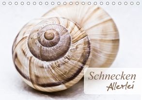 Schnecken Allerlei (Tischkalender 2018 DIN A5 quer) von Stela-photoart