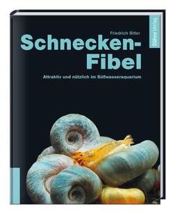 Schnecken-Fibel von Bitter,  Friedrich