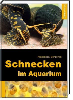 Schnecken im Aquarium von Behrendt,  Alexandra