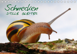Schnecken – Stille Gleiter (Tischkalender 2021 DIN A5 quer) von Jazbinszky,  Ivan