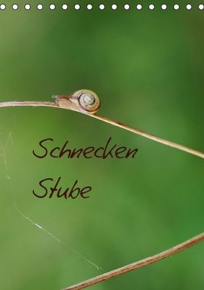 Schnecken Stube Gastropoda (Tischkalender immerwährend DIN A5 hoch) von Riedel,  Tanja