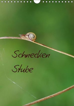 Schnecken Stube Gastropoda (Wandkalender immerwährend DIN A4 hoch) von Riedel,  Tanja