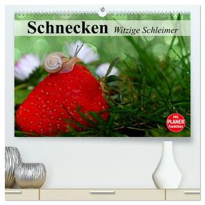 Schnecken. Witzige Schleimer (hochwertiger Premium Wandkalender 2024 DIN A2 quer), Kunstdruck in Hochglanz von Stanzer,  Elisabeth