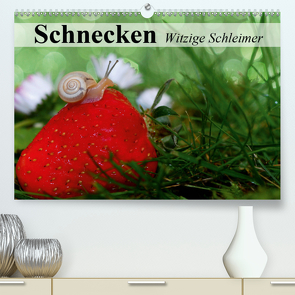 Schnecken. Witzige Schleimer (Premium, hochwertiger DIN A2 Wandkalender 2021, Kunstdruck in Hochglanz) von Stanzer,  Elisabeth