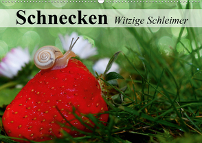 Schnecken. Witzige Schleimer (Wandkalender 2021 DIN A2 quer) von Stanzer,  Elisabeth