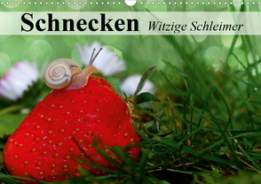 Schnecken. Witzige Schleimer (Wandkalender 2021 DIN A3 quer) von Stanzer,  Elisabeth