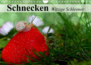 Schnecken. Witzige Schleimer (Wandkalender 2022 DIN A4 quer) von Stanzer,  Elisabeth