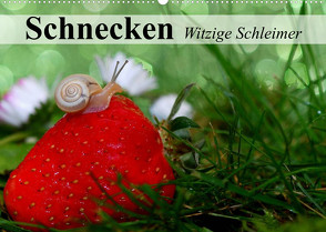 Schnecken. Witzige Schleimer (Wandkalender 2023 DIN A2 quer) von Stanzer,  Elisabeth